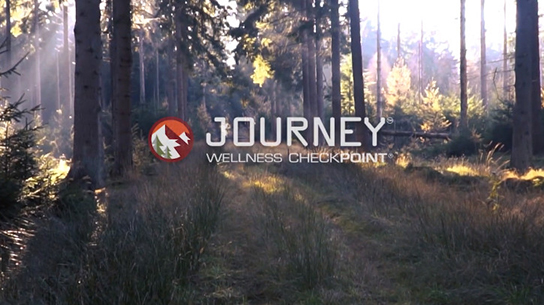 Wellness Checkpoint Journey